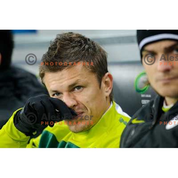 Zlatko Dedic in action during football game Slovenia - USA, Friendly match, Stozice, Ljubljana, 15.11.2011 