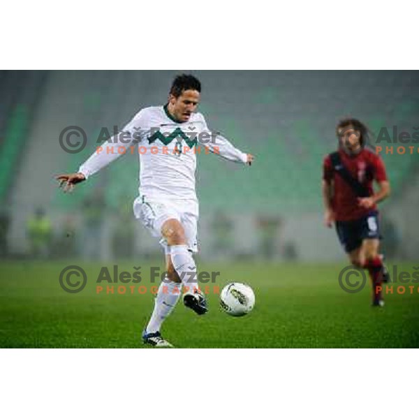 Zlatan Ljubljankic in action during football game Slovenia - USA, Friendly match, Stozice, Ljubljana, 15.11.2011 