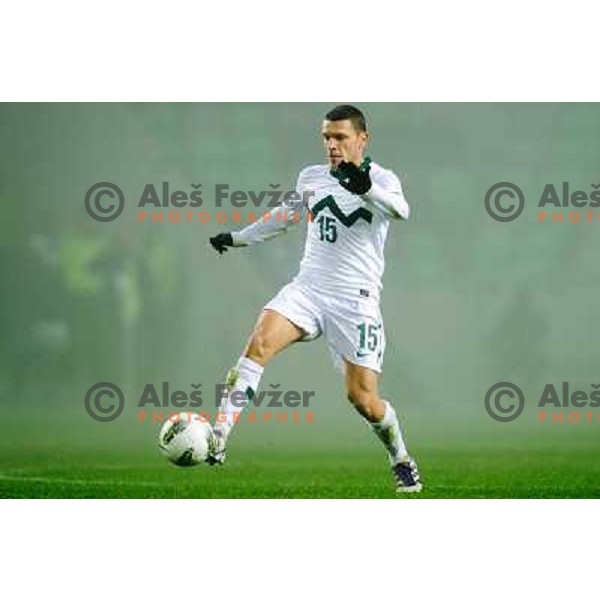Darijan Matic in action during football game Slovenia - USA, Friendly match, Stozice, Ljubljana, 15.11.2011 