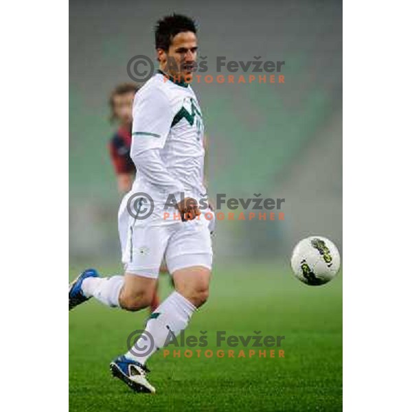 Zlatan Ljubljankic in action during football game Slovenia - USA, Friendly match, Stozice, Ljubljana, 15.11.2011 