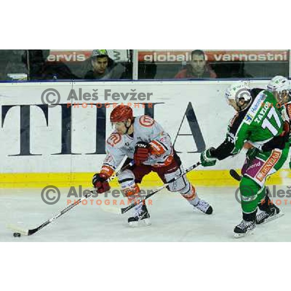 Anti Pussa, Justin Taylor in action during EBEL league regular season game 23 between Tilia Olimpija- Acroni Jesenice, played in Hala Tivoli, Ljubljana, Slovenia on November 20, 2011 
