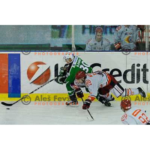Erik Pance in action during EBEL league regular season game 23 between Tilia Olimpija- Acroni Jesenice, played in Hala Tivoli, Ljubljana, Slovenia on November 20, 2011 