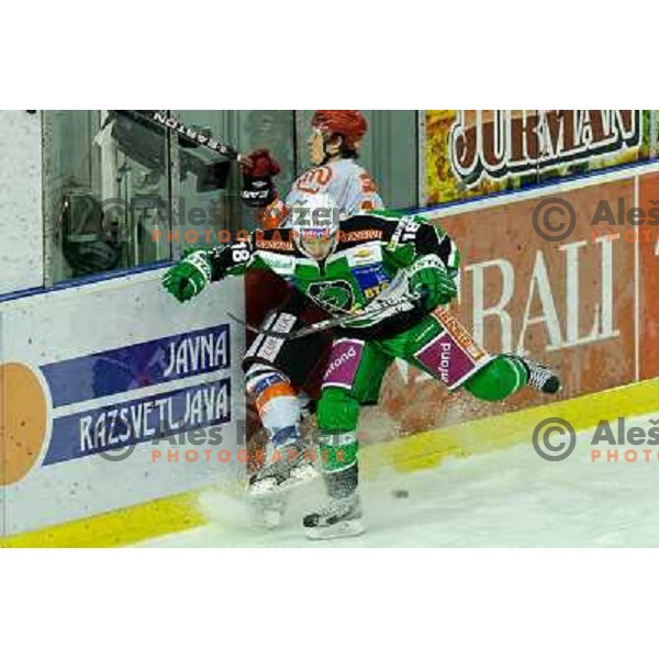 Ken Ograjsek in action during EBEL league regular season game 23 between Tilia Olimpija- Acroni Jesenice, played in Hala Tivoli, Ljubljana, Slovenia on November 20, 2011 