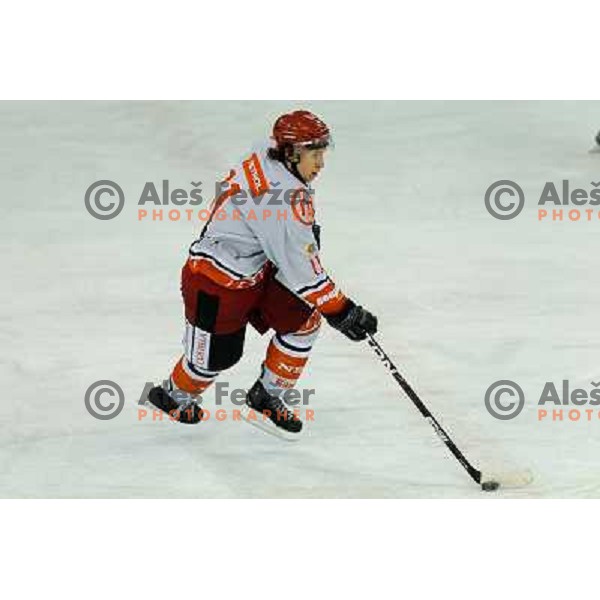 Ziga Grahut in action during EBEL league regular season game 23 between Tilia Olimpija- Acroni Jesenice, played in Hala Tivoli, Ljubljana, Slovenia on November 20, 2011 