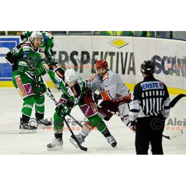 in action during EBEL league regular season game 23 between Tilia Olimpija- Acroni Jesenice, played in Hala Tivoli, Ljubljana, Slovenia on November 20, 2011 