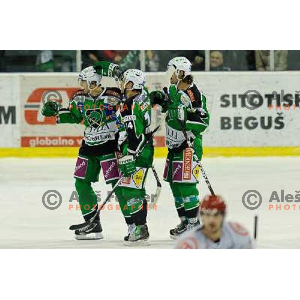 Ziga Pance in action during EBEL league regular season game 23 between Tilia Olimpija- Acroni Jesenice, played in Hala Tivoli, Ljubljana, Slovenia on November 20, 2011 