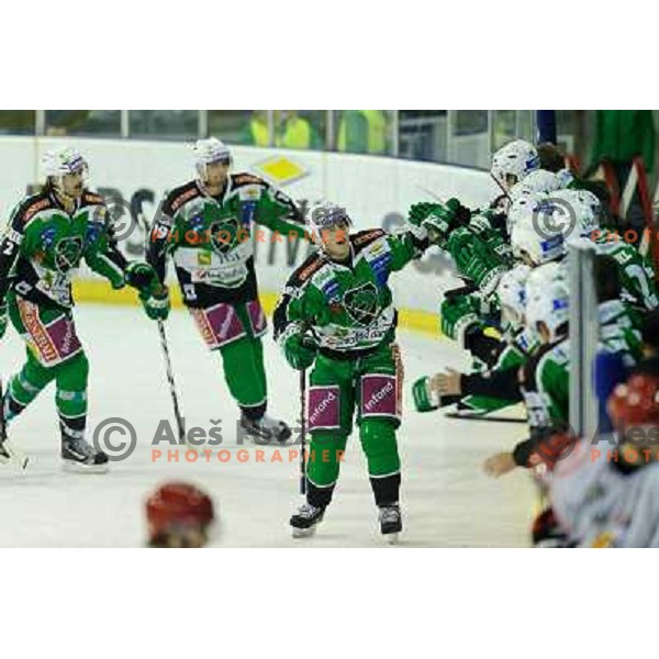 Ken Orgajsek in action during EBEL league regular season game 23 between Tilia Olimpija- Acroni Jesenice, played in Hala Tivoli, Ljubljana, Slovenia on November 20, 2011 