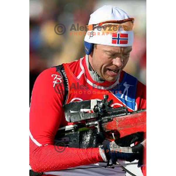 Halvard Hanevold