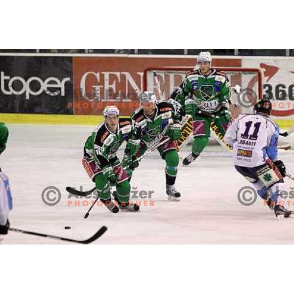 Ken Ograjensek, Matej Hocevar of Tilia Olimpija in action during EBEL league regular season game in round 27 between Tilia Olimpija and Sapa Fehervar AV 19 in Hala Tivoli, Ljubljana, Slovenia on December 2, 2011 