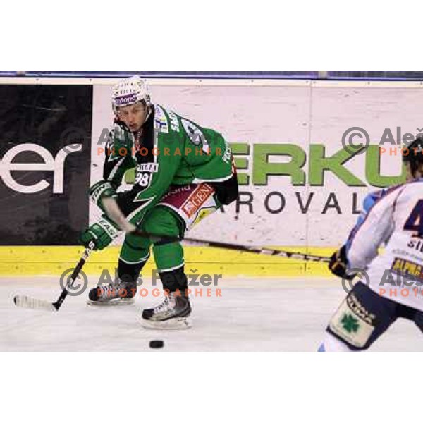 Sergei Smirnov of Tilia Olimpija in action during EBEL league regular season game in round 27 between Tilia Olimpija and Sapa Fehervar AV 19 in Hala Tivoli, Ljubljana, Slovenia on December 2, 2011 