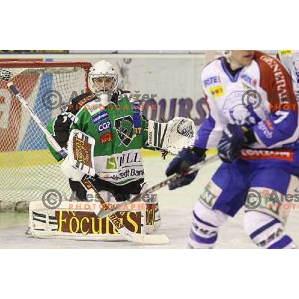 J.P. Lamoureux of Tilia Olimpija in action during EBEL league regular season ice-hockey match in round 30 between HDD Tilia Olimpija Ljulbjana and KHL Medvescak Zagreb in Hala Tivoli, Ljubljana, Slovenia on December 9, 2011 