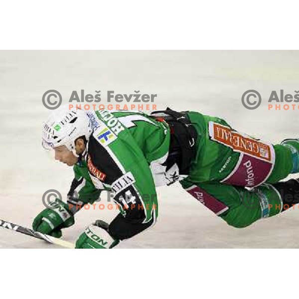 Matej Hocevar of Tilia Olimpija in action during EBEL league regular season ice-hockey match in round 30 between HDD Tilia Olimpija Ljulbjana and KHL Medvescak Zagreb in Hala Tivoli, Ljubljana, Slovenia on December 9, 2011 