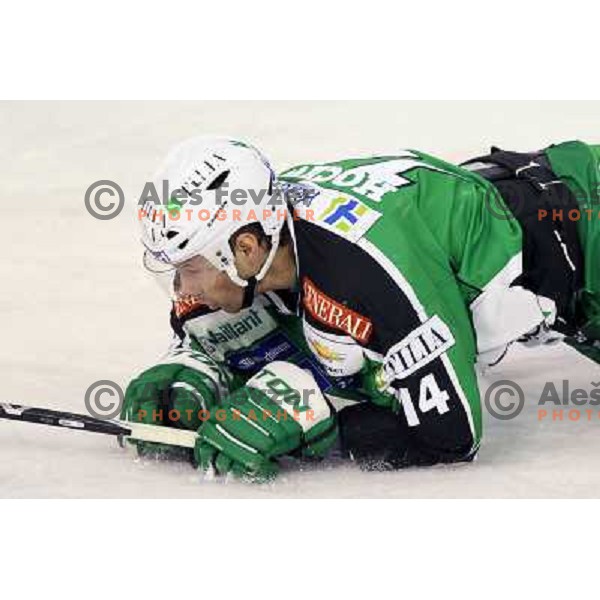 Matej Hocevar of Tilia Olimpija in action during EBEL league regular season ice-hockey match in round 30 between HDD Tilia Olimpija Ljulbjana and KHL Medvescak Zagreb in Hala Tivoli, Ljubljana, Slovenia on December 9, 2011 