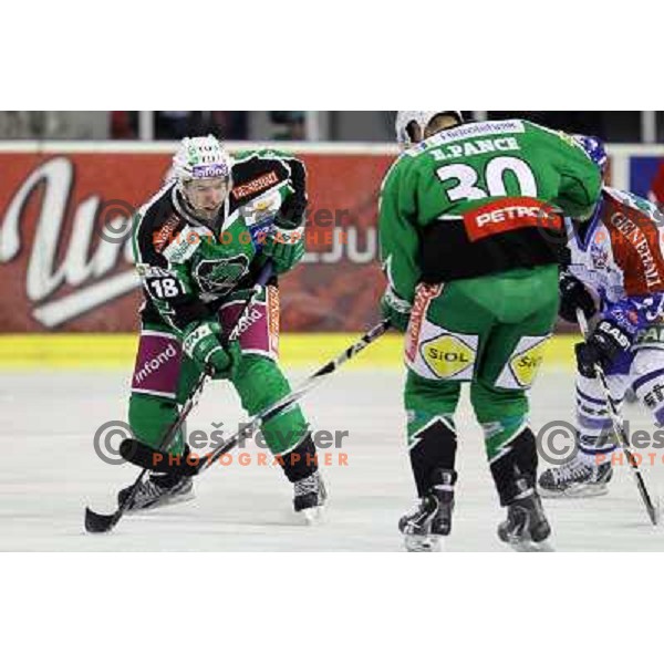 Ken Ograjensek of Tilia Olimpija and Pascal Morency in action during EBEL league regular season ice-hockey match in round 30 between HDD Tilia Olimpija Ljulbjana and KHL Medvescak Zagreb in Hala Tivoli, Ljubljana, Slovenia on December 9, 2011 