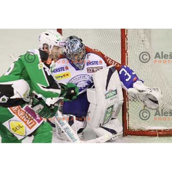 Robert Kristan of KHL Medvescak in action during EBEL league regular season ice-hockey match in round 30 between HDD Tilia Olimpija Ljulbjana and KHL Medvescak Zagreb in Hala Tivoli, Ljubljana, Slovenia on December 9, 2011 