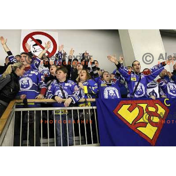 Fans of KHL Medvescak in action during EBEL league regular season ice-hockey match in round 30 between HDD Tilia Olimpija Ljulbjana and KHL Medvescak Zagreb in Hala Tivoli, Ljubljana, Slovenia on December 9, 2011 