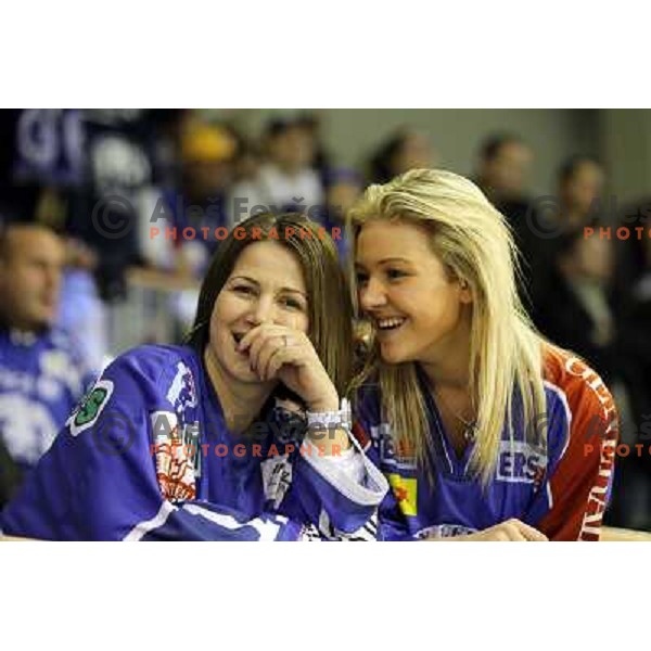 Fans of KHL Medvescak in action during EBEL league regular season ice-hockey match in round 30 between HDD Tilia Olimpija Ljulbjana and KHL Medvescak Zagreb in Hala Tivoli, Ljubljana, Slovenia on December 9, 2011 