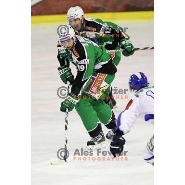 Ziga Pance of Tilia Olimpija in action during EBEL league regular season ice-hockey match in round 30 between HDD Tilia Olimpija Ljulbjana and KHL Medvescak Zagreb in Hala Tivoli, Ljubljana, Slovenia on December 9, 2011 