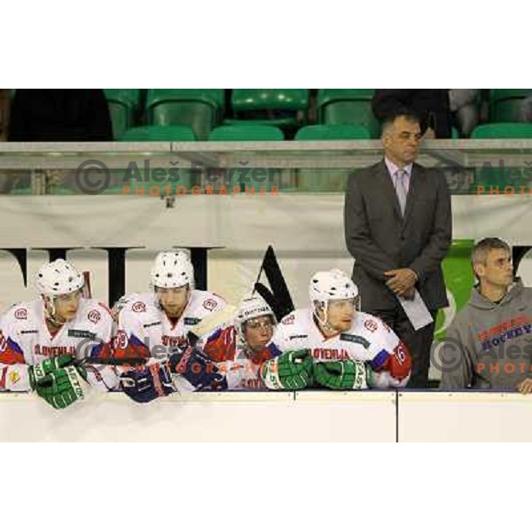 Ales Music, Matjaz Kopitar during friendly ice-hockey match between Slovenia and Switzerland in Hala Tivoli, Ljubljana, Slovenia on December 14, 2011 