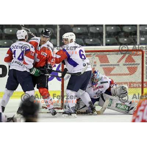Maks Selan, Robert Kristan in action during friendly ice-hockey match between Slovenia and Switzerland in Hala Tivoli, Ljubljana, Slovenia on December 14, 2011 