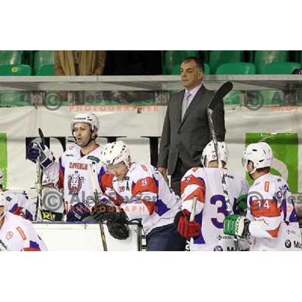 Tomaz Razingar, Matjaz Kopitar of Slovenia in action during friendly ice-hockey match between Slovenia and Switzerland in Hala Tivoli, Ljubljana, Slovenia on December 14, 2011 