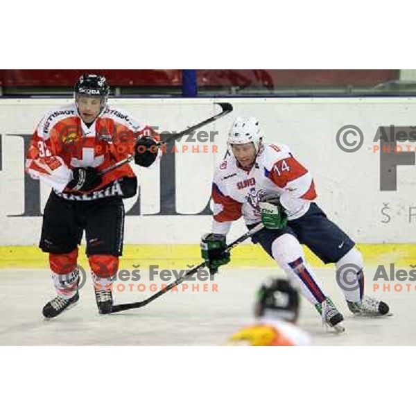 Matej Hocevar of Slovenia in action during friendly ice-hockey match between Slovenia and Switzerland in Hala Tivoli, Ljubljana, Slovenia on December 14, 2011 