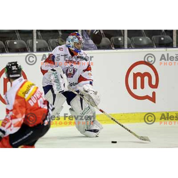 Robert Kristan of Slovenia in action during friendly ice-hockey match between Slovenia and Switzerland in Hala Tivoli, Ljubljana, Slovenia on December 14, 2011 