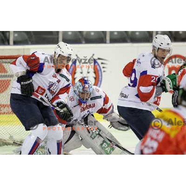 Maks Selan, Robert Kristan of Slovenia in action during friendly ice-hockey match between Slovenia and Switzerland in Hala Tivoli, Ljubljana, Slovenia on December 14, 2011 