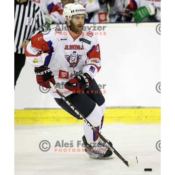 Andrej Tavzelj of Slovenia in action during friendly ice-hockey match between Slovenia and Switzerland in Hala Tivoli, Ljubljana, Slovenia on December 14, 2011 