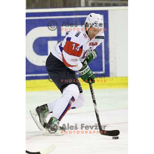 Matej Hocevar of Slovenia in action during friendly ice-hockey match between Slovenia and Switzerland in Hala Tivoli, Ljubljana, Slovenia on December 14, 2011 