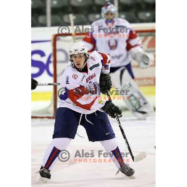 Ziga Grahut of Slovenia in action during friendly ice-hockey match between Slovenia and Switzerland in Hala Tivoli, Ljubljana, Slovenia on December 14, 2011 