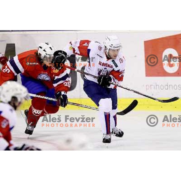 Rok Ticar of Slovenia in action during ice-hockey match Slovenia- Norway at European Challenger Tournament in Hala Tivoli, Ljubljana, Slovenia on December 15, 2011 