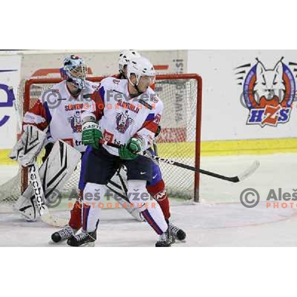Andrej Hocevar, Damjan Dervaric of Slovenia in action during EICH Challenge Tournament ice-hockey match between Slovenia and Norway in Hala Tivoli, Ljubljana, Slovenia on December 15, 2011 
