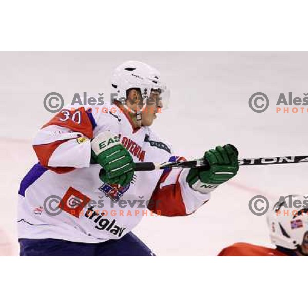 Erik Pance of Slovenia in action during EICH Challenge Tournament ice-hockey match between Slovenia and Norway in Hala Tivoli, Ljubljana, Slovenia on December 15, 2011 