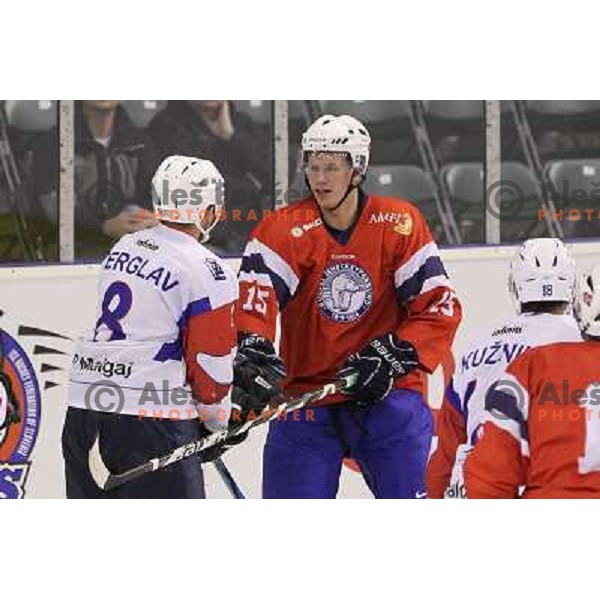 Edo Terglav of Slovenia in action during EICH Challenge Tournament ice-hockey match between Slovenia and Norway in Hala Tivoli, Ljubljana, Slovenia on December 15, 2011 
