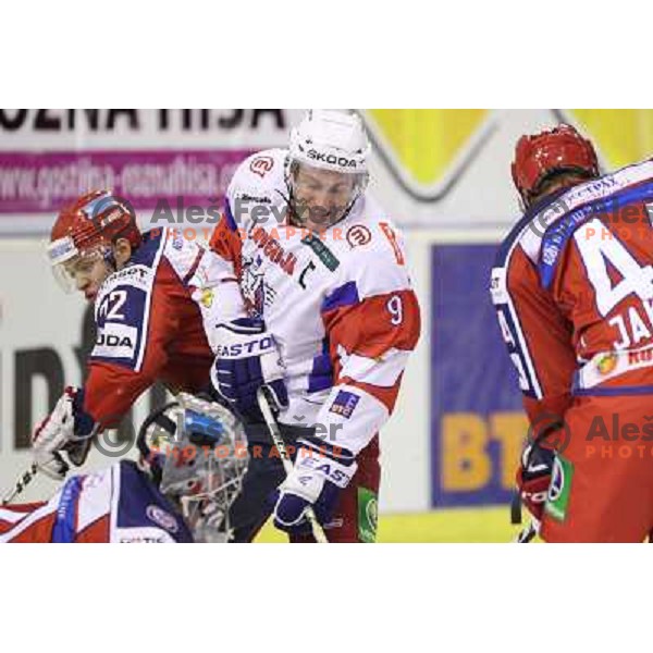 Tomaz Razingar of Slovenia in action during EICH Challenge Tournament ice-hockey match between Slovenia and Russia in Hala Tivoli, Ljubljana, Slovenia on December 16, 2011 