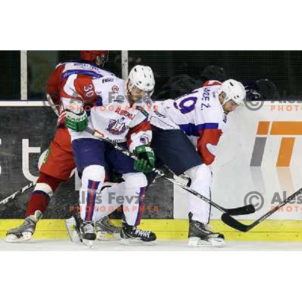 Ziga Pance and Ziga Pance of Slovenia in action during EICH Challenge Tournament ice-hockey match between Slovenia and Russia in Hala Tivoli, Ljubljana, Slovenia on December 16, 2011 