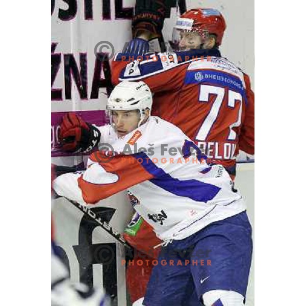 of Slovenia in action during EICH Challenge Tournament ice-hockey match between Slovenia and Russia in Hala Tivoli, Ljubljana, Slovenia on December 16, 2011 