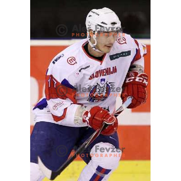 Ziga Pavlin of Slovenia in action during EICH Challenge Tournament ice-hockey match between Slovenia and Russia in Hala Tivoli, Ljubljana, Slovenia on December 16, 2011 