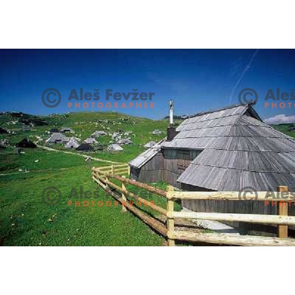 Velika planina