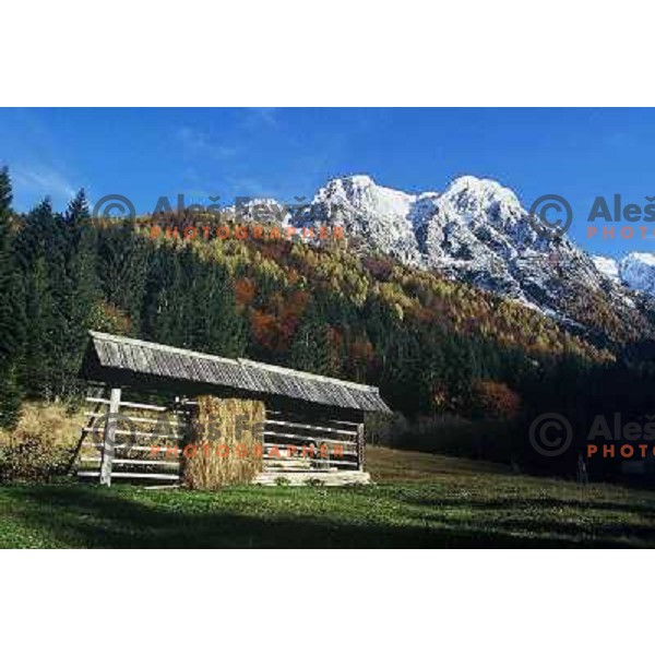 Jezersko