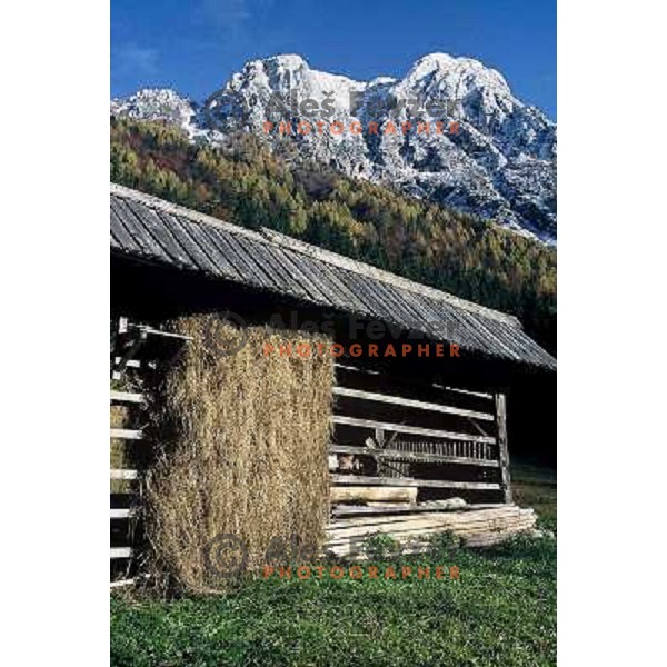 Jezersko
