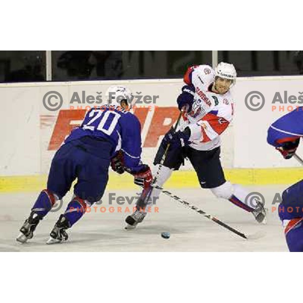 David Rodman of Slovenia in action during EICH Challenge Tournament ice-hockey match between Slovenia and France in Hala Tivoli, Ljubljana, Slovenia on December 17, 2011 