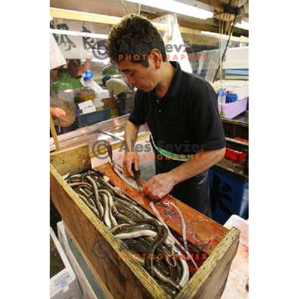 Tokyo (Japan)Tsukiji Market is the biggest wholesale fish and seafood market in the world. You can find more than 400 different types of seafood from cheap seaweed to the most expensive caviar, and from tiny sardines to 300 kg tuna 