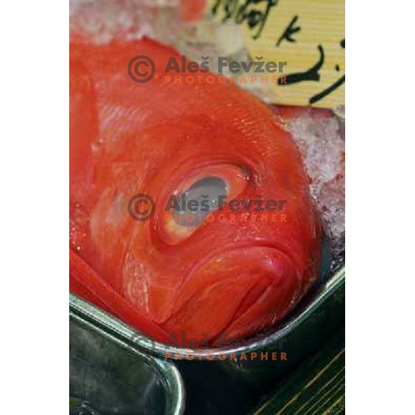 Tokyo (Japan)Tsukiji Market is the biggest wholesale fish and seafood market in the world. You can find more than 400 different types of seafood from cheap seaweed to the most expensive caviar, and from tiny sardines to 300 kg tuna 