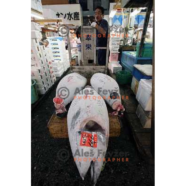 Tokyo (Japan)Tsukiji Market is the biggest wholesale fish and seafood market in the world. You can find more than 400 different types of seafood from cheap seaweed to the most expensive caviar, and from tiny sardines to 300 kg tuna 