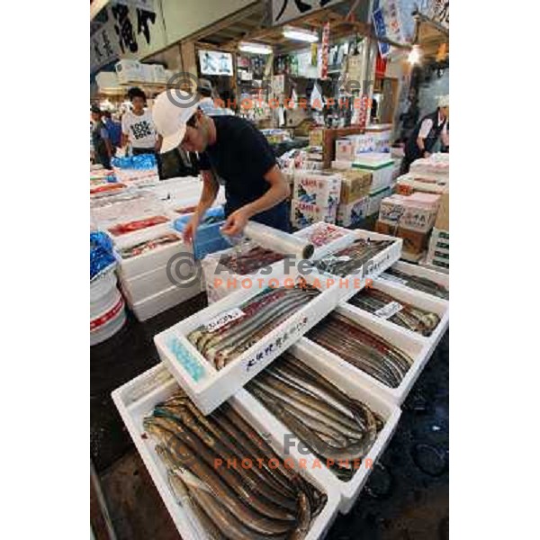 Tokyo (Japan)Tsukiji Market is the biggest wholesale fish and seafood market in the world. You can find more than 400 different types of seafood from cheap seaweed to the most expensive caviar, and from tiny sardines to 300 kg tuna 