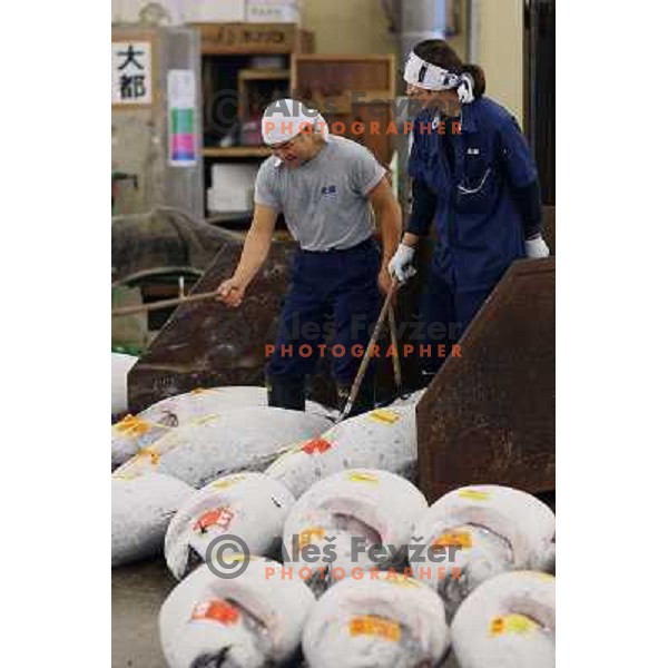 Tokyo (Japan)Tsukiji Market is the biggest wholesale fish and seafood market in the world. You can find more than 400 different types of seafood from cheap seaweed to the most expensive caviar, and from tiny sardines to 300 kg tuna 