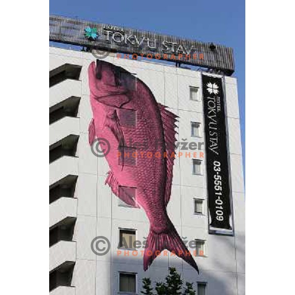 Tokyo (Japan)Tsukiji Market is the biggest wholesale fish and seafood market in the world. You can find more than 400 different types of seafood from cheap seaweed to the most expensive caviar, and from tiny sardines to 300 kg tuna 