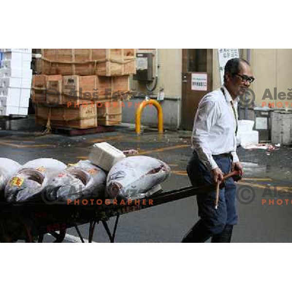 Tokyo (Japan)Tsukiji Market is the biggest wholesale fish and seafood market in the world. You can find more than 400 different types of seafood from cheap seaweed to the most expensive caviar, and from tiny sardines to 300 kg tuna 